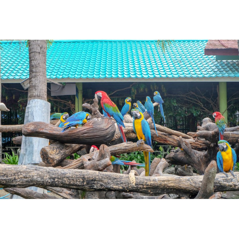 รูปภาพ 7