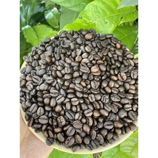 🔥ลาว โรบัสต้า เกรดA #Laos Robusta Coffee #เข้มถึงใจ#โปรส่งฟรี ทักในแชทคะ🔥🔥🔥🔥🔥