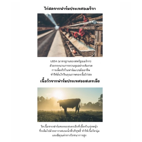 (1.5kg) Cheershare Cat - King of Wild / Rich Meat&Grain Free สำหรับแมวทุกช่วงวัย 1.5kg. - รูปที่ 3