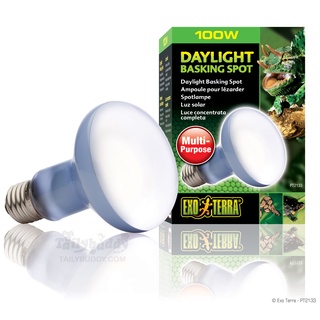 Exo Terra (PT2133) Daylight Basking Spot (100W) หลอด UVA เฉพาะจุด ช่วงกลางวัน สำหรับกิ้งก่า งู เต่า