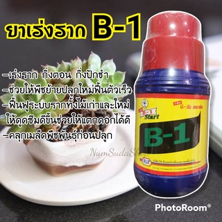 B1 น้ำยาเร่งราก สูตรเข้มข้น 500 ML