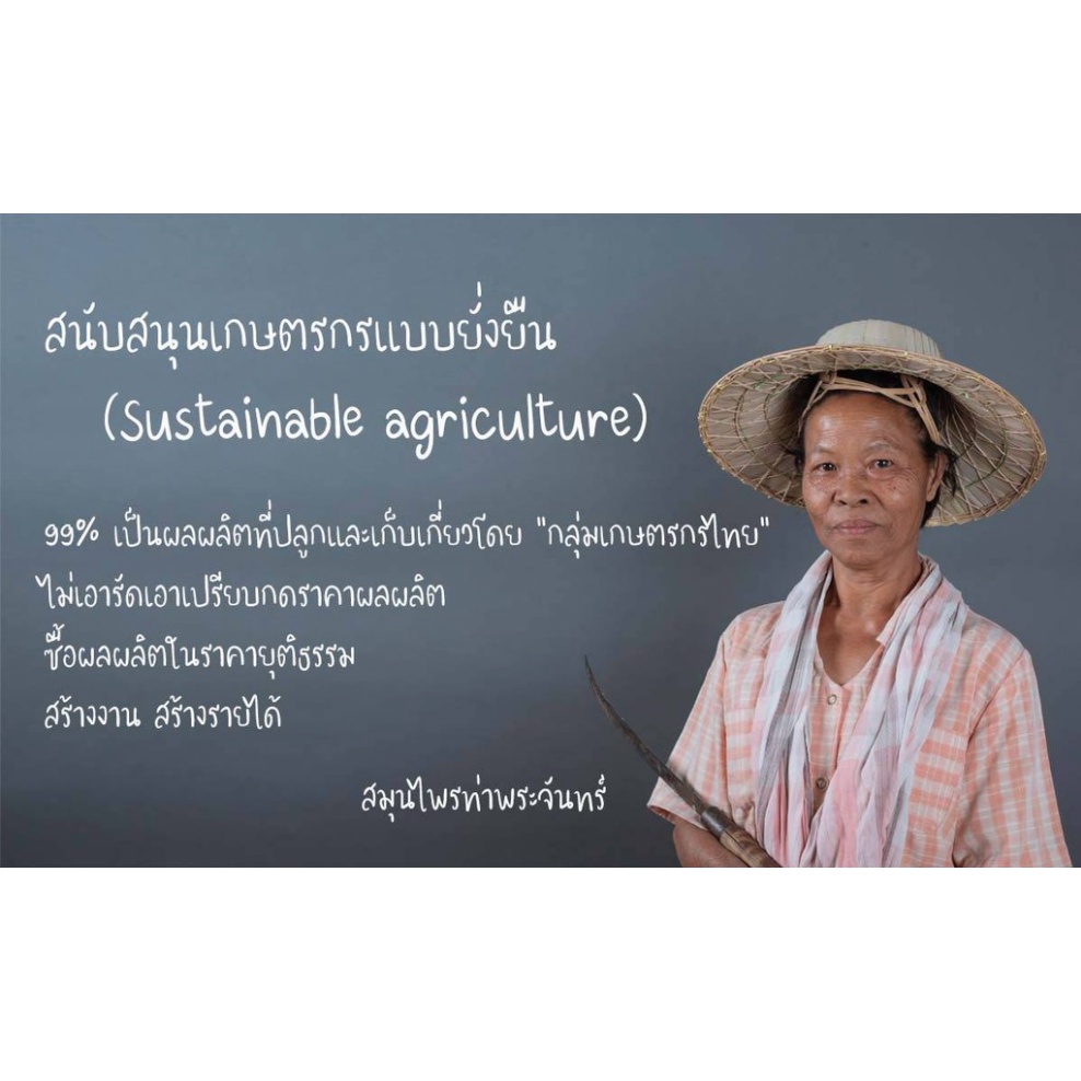 ทองพันชั่งผง ทองพันชั่งแห้ง ทองพันชั่ง