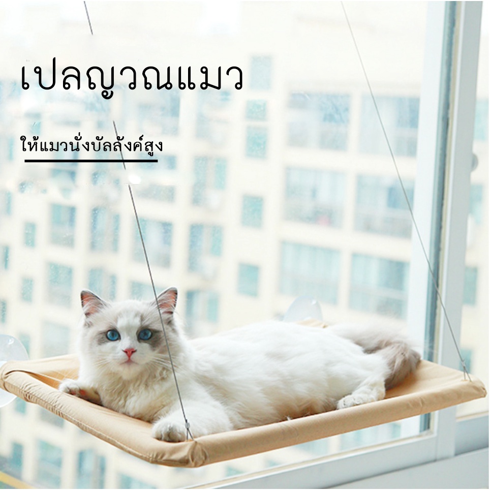 AL-108 เปลแมวติดกระจก ขนาดใหญ่ 55x35ซม. รับน้ำหนักได้ถึง 15 kg ที่นอนแมว บ้านแมว 🔥 พร้อมส่ง 🔥