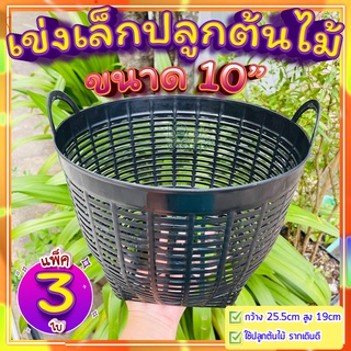 เข่งปลูกต้นไม้ 10 นิ้ว 🍂(แพ็ค 3 ใบ) เข่งเล็กปลูกต้นไม้ รากเดินดี กระถางต้นไม้ ปลูกพืชผัก และต้นไม้ ระบายน้ำ อากาศได้ดี