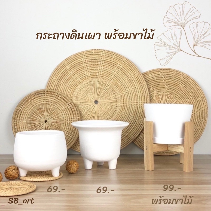 กระถางดินเผา พร้อมขาไม้ สำหรับปลูกแคคตัสหรือไม้ประดับ สไตล์โมเดิร์น