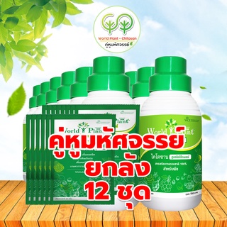 คู่หูมหัศจรรย์ ปุ๋ยน้ำ World Plant เวิลด์แพลนท์ สารเพิ่มประสิทธิภาพ+ไคโตซาน 12 Set (ยกโหล) เพียง 13,730 บาท เท่านั้น