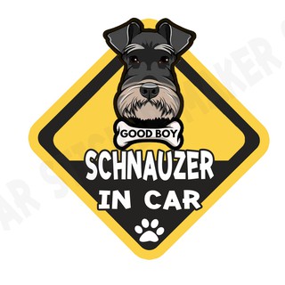 สติกเกอร์ติดรถ สติ๊กเกอร์ติดรถยนต์ สติกเกอร์หมา DGA172  schnauzer dog