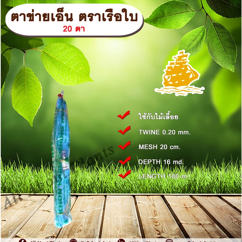 ตาข่ายเอ็น ตราเรือใบ 20 ตา ตาข่ายแตง ขึงแตง เอ็นขึงแตง ค้างแตง ค้างบวบ มะระ บวบ ถั่วฝักยาว ปลูกพืชไม้เลื้อย