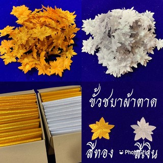 ขั้วชบา สีเงิน-สีทอง