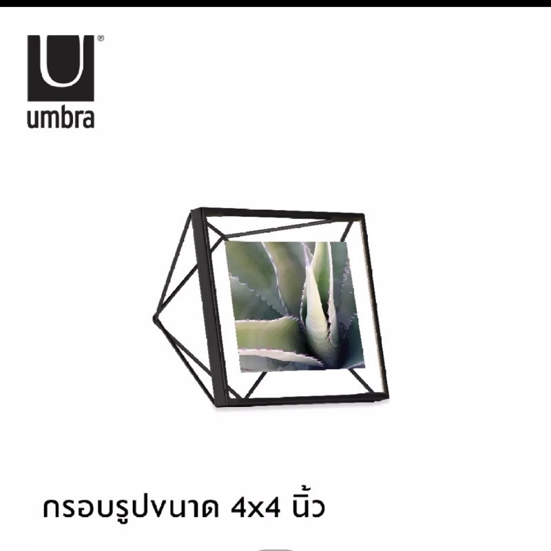 [พร้อมส่ง] กรอบรูป Umbra กรอบรูปสีดำ กรอบรูป minimal กรอบรูปเกาหลี แต่งบ้าน กรอบรูปแขวน กรอบรูปแนวตั้ง กรอบรูปแนวนอน