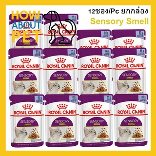 อาหารแมวเปียก Royal Canin Sensory Smell Jelly อาหารแมวกินยาก ชิ้นเนื้อในวุ้นเจลลี่ สำหรับแมวโตอายุ1ปีขึ้นไป 85กรัม 12ซอง