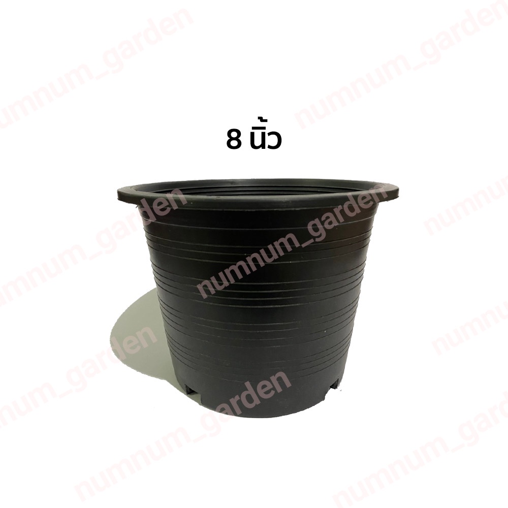 จานรองกระถางต้นไม้ ถาดรองกระถางต้นไม้ จานรองกระถางพลาสติก สีดำ 8 นิ้ว (8 นิ้ว)
