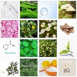 (ตัวแทน) FORESTA BALANCING TONER 150ml. โทนเนอร์วีแกน