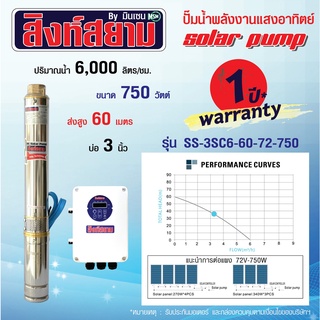 ปั๊มบาดาลโซล่าเซลล์ ปั๊มโซล่าเซลล์ 750 วัตต์ บ่อ 3 นิ้ว ท่อออก 1.25 นิ้ว ปั๊มน้ำพลังงานแสงอาทิตย์