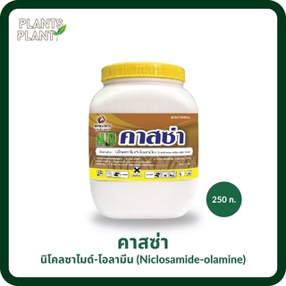 คาสซ่า 250กรัม, นิโคลซาไมด์-โอลามีน (Niclosamide-olamine) ยาหอย ยาฆ่าหอยแบบถูกตัวตาย ปลาไม่ตาย กำจัดหอยเชอรี่ ยาเหลือง