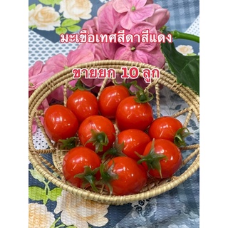 ผักปลอม โมเดลมะเขือเทศสีดา (ขาย10 ลูก130 บาท)