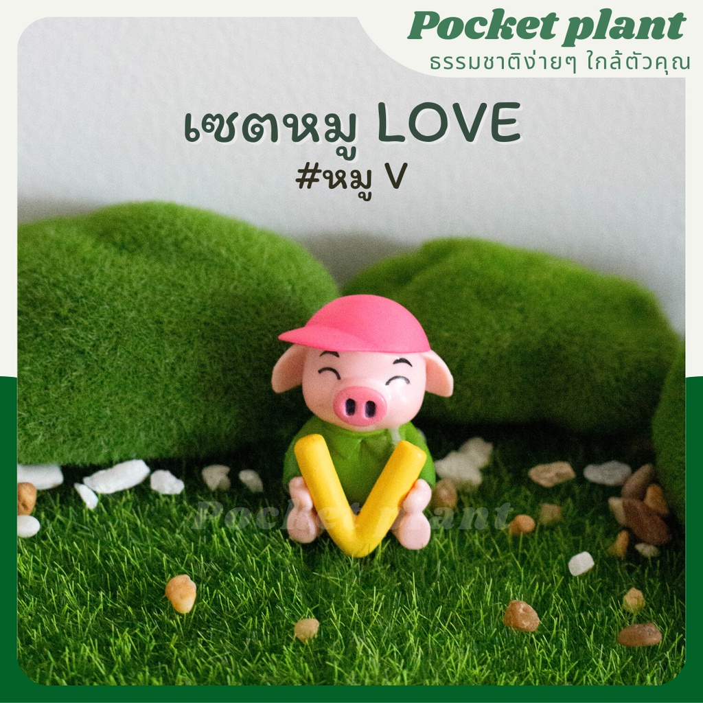 มุมมอง 5