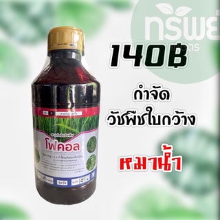 โฟคอล 2,4-D กำจัดหญ้าใบกว้าง #หมาแดงน้ำ #กำจัดหญ้าใบกว้าง 1 ลิตร #หญ้าแห้วหมู #เครือเถาว์ #วัชพืช