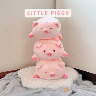 — Little piggy ตุ๊กตาน้อนหมู🐷🐽✨