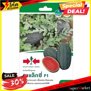 แตงโม F1 กาแล็กซี่ ศรแดง เมล็ดพันธุ์ WATERMELON SEEDS SORNDAENG F1 GALAXY ต้นไม้และเมล็ดพันธุ์