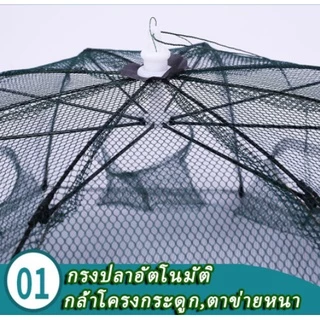 ปลีก/ส่งมุ้งดักปลา ตาข่ายดักปลา ที่ดักกุ้งฝอย มุ้งดักปลา แข็งแรง4 ช่อง 6 ช่อง 8 ช่อง 10 ช่อง แพ็ค 5/10 ชิ้น