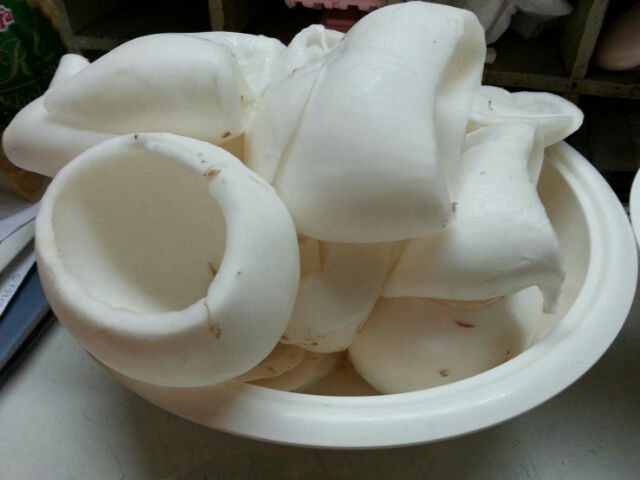 ของแท้ มีดคว้านมะพร้าว​เขาควาย.ขนาด​10-11