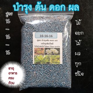 ปุ๋ยต้นไม้สูตร16-16-16 บำรุงต้นดอกผล 500g