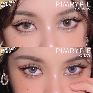 wink lens  ( Pimrypie ) ขนาดmini