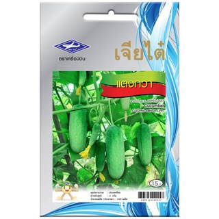 CHIA TAI 10.5X16.5 CASE SEED เมล็ดพันธุ์ แตงกวา เมล็ดพันธุ์ ปุ๋ยและเมล็ดพันธุ์ สวนและอุปกรณ์ตกแต่ง CHIA TAI 10.5X16.5 CA