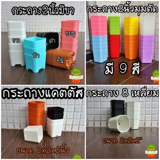 (ส่งจากกรุงเทพ) 4, 8 เหลี่ยม ขนาด 2 นิ้ว กระถางพลาสติก กระถางกระบองเพชร กระถางแคตตัส มีพาสเทล สีหวาน ยืดหยุ่น ทนทาน