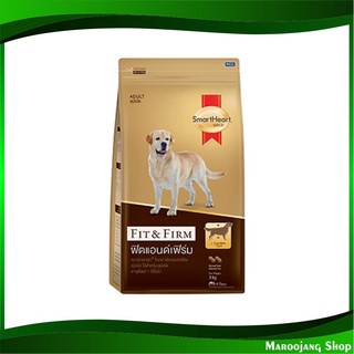 อาหารสุนัขโต ฟิตแอนด์ เฟิร์ม 3 กก สมาร์ทฮาร์ทโกลด์ Smartheart Gold Adult Dog Food Fit and Firm อาหารสุนัข อาหารสำหรับหมา