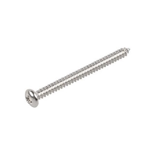 อุปกรณ์ยึดติด สกรูเกลียวปล่อย TP 8X2 นิ้ว 25 ตัว Screws, Nuts &amp; Washers