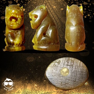 เสือแกะจากเขาวัว ลงอักขระ หลังและก้นฐาน ก้นอุดมวลสาร 3 cm