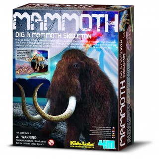 4Mชุดฟอสชิล Dinosaur-Dig a Mammoth Skeleton