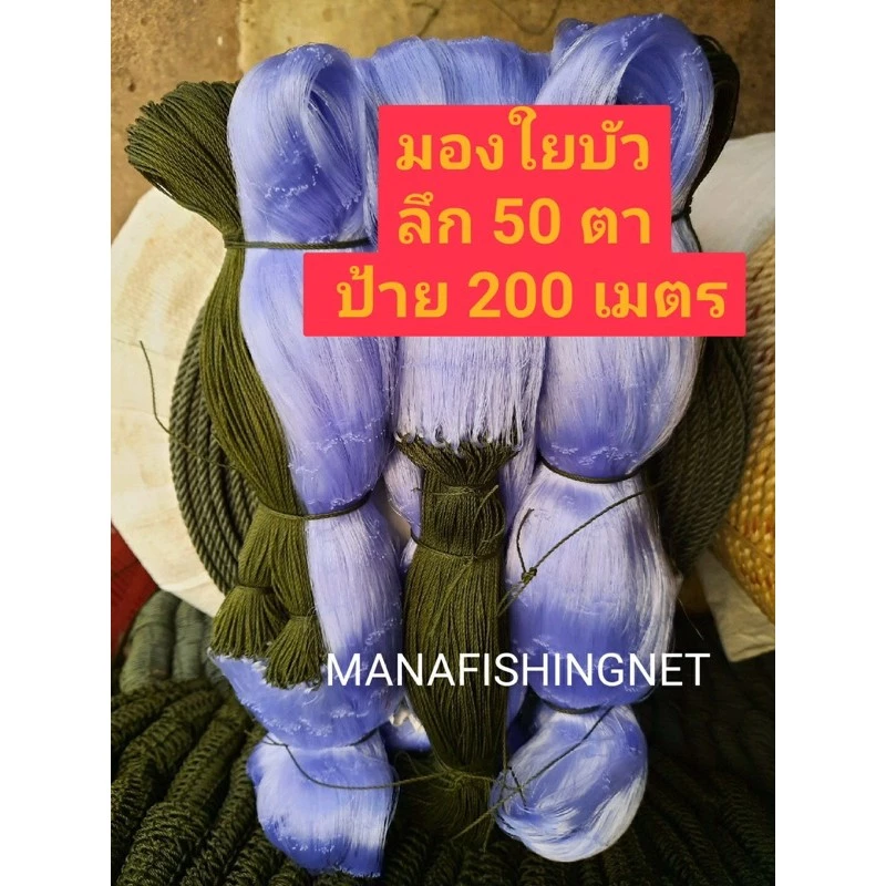 ข่ายดักปลา เอ็นใยบัวแท้ 🔺ลึก 50 ตา ป้าย 200 เมตร 🔺ตา 3/3.5/4/4.5/5/5.5/6/7/8/9/10/11/12/14/16 เซ็น ให้เลือก