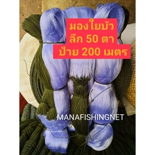 ข่ายดักปลา เอ็นใยบัวแท้ 🔺ลึก 50 ตา ป้าย 200 เมตร 🔺ตา 3/3.5/4/4.5/5/5.5/6/7/8/9/10/11/12/14/16 เซ็น ให้เลือก