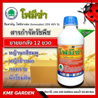 ***ขายยกลัง*** 🍁วัชพืช🍁 โฟมีซ่า ขนาด 1 ลิตร 12 ขวด โฟมีซาเฟน กำจัดวัชพืชใบกว้างภายหลังงอกในถั่วเหลือง ถั่วเขียวผิวมัน