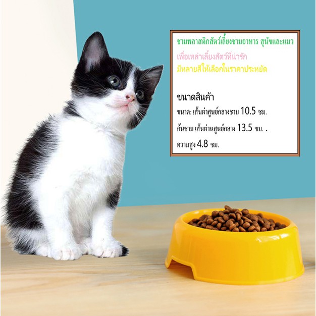 AL-003 ชามอาหารสัตว์เลี้ยง ชามสุนัข หมา แมว ชามสัตว์เลี้ยง pet bowl / dog bowl / cat bowl