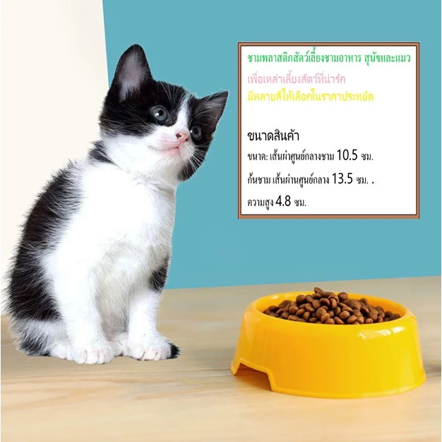 AL-003 ชามอาหารสัตว์เลี้ยง ชามสุนัข หมา แมว ชามสัตว์เลี้ยง pet bowl / dog bowl / cat bowl