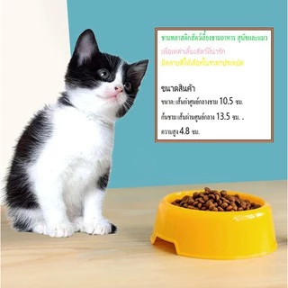 AL-003 ชามอาหารสัตว์เลี้ยง ชามสุนัข หมา แมว ชามสัตว์เลี้ยง pet bowl / dog bowl / cat bowl