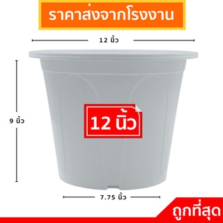 กระถางต้นไม้ใหญ่
 กระถางต้นไม้
 กระถางต้นไม้มินิมอล
 12 นิ้ว สีขาว