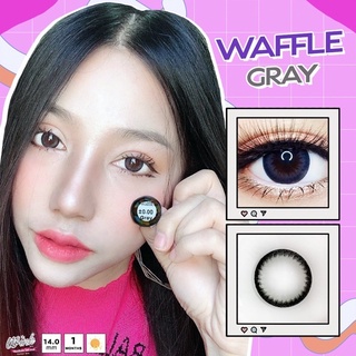 Waffle Gray (1) Wink Lens มินิ สีเทา เทา ตัดขอบดำ โทนแบ๊ว Contact Lens คอนแทคเลนส์ สายตาสั้น ค่าสายตา แฟชั่น สายตาปกติ