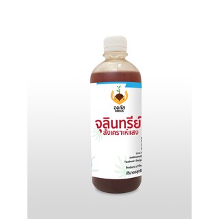 จุลินทรีย์สังเคราะห์แสง แท้100% AGUS สูตรเข้มข้น ใช้เป็นหัวเชื้อได้ พร้อมใช้งาน ปลอดสารเคมี น้ำหมัก เร่งราก เร่งโต เพิ่ม