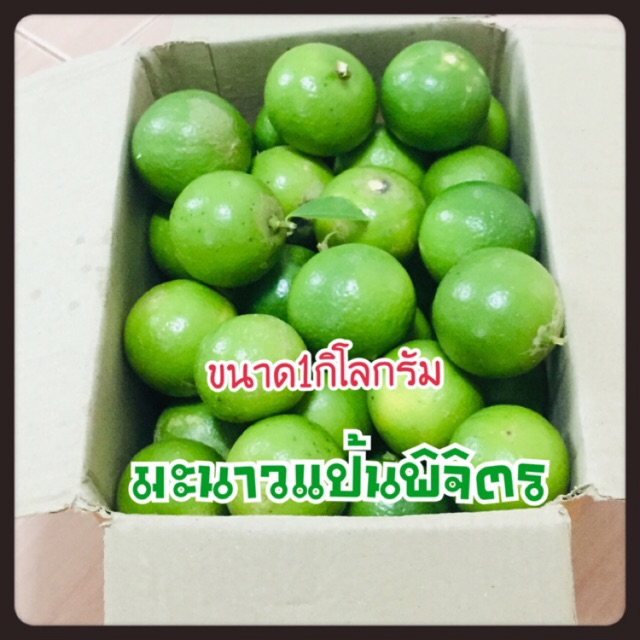 มะนาวแป้นไร้เม็ด น้ำหนักเต็มกิโล #ราคาถูกที่สุด #คัดพิเศษ