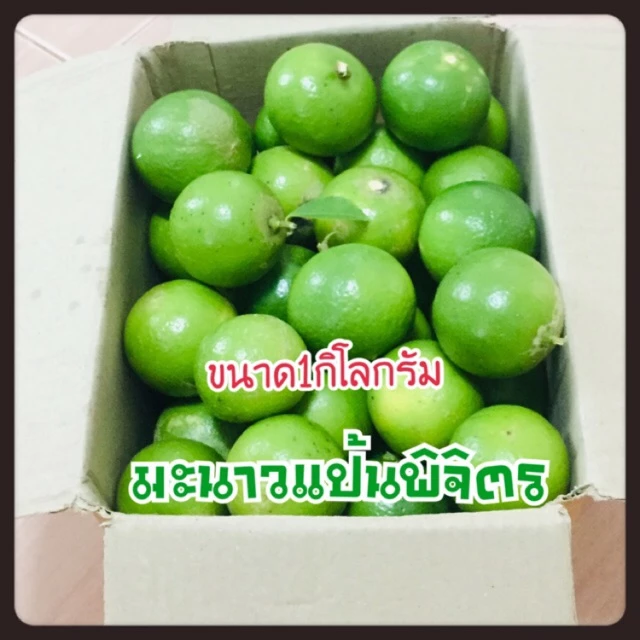 มะนาวแป้นไร้เม็ด น้ำหนักเต็มกิโล #ราคาถูกที่สุด #คัดพิเศษ