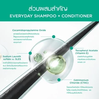 Smooth E Everyday Conditioner500ML. ครีมนวดผม บำรุงหนังศีรษะ อ่อนโยน ไม่แสบตา ใช้ได้ทุกวัน สมูทอี