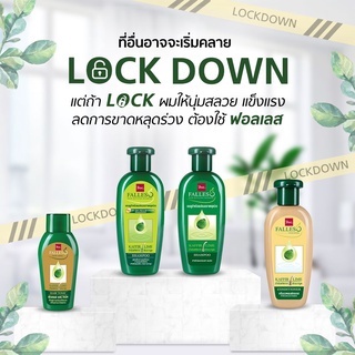 BSC Falless Shampoo ฟอลเลส แชมพูสำหรับผมอ่อนแอขนาดหลุดร่วง 180 มล.- 300 มล. by กำตังค์