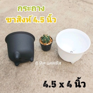 กระถาง ขาสิงห์ ใหญ่ // กด 12 ใบ 200 บาท -- กระถาง 4.5 นิ้ว -- กระถางพลาสติก กระถางแคคตัส กระบองเพชร