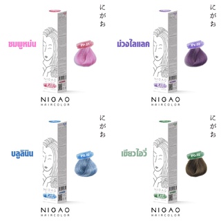 Nigao Hair Color Pastel นิกาโอะ แฮร์ คัลเลอร์ สีพาสเทล แถมฟรีไฮโดรเจน