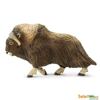 Safari Ltd. : SFR100095 โมเดลสัตว์ Muskox